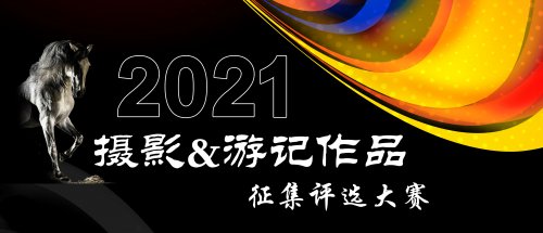 征集评选大赛