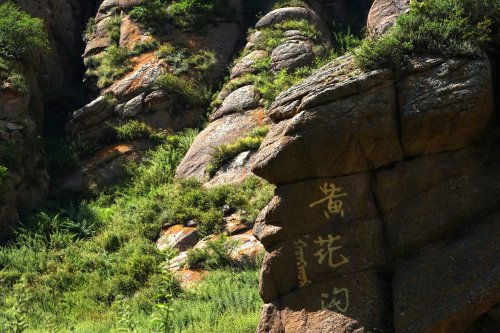 北疆之秋 | 大自然写给人间的情诗
